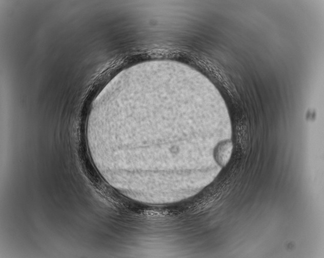 X0000098070690200805020958