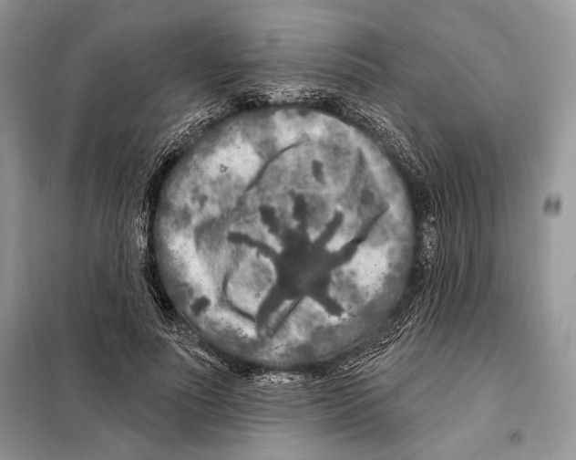 X0000098070691200805020958