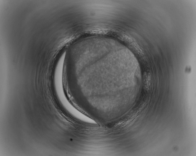 X0000098070692200805020958