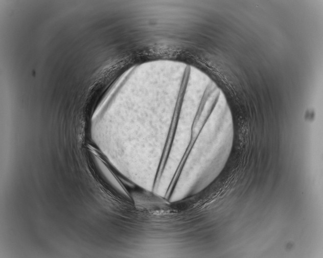 X0000098070693200805020958