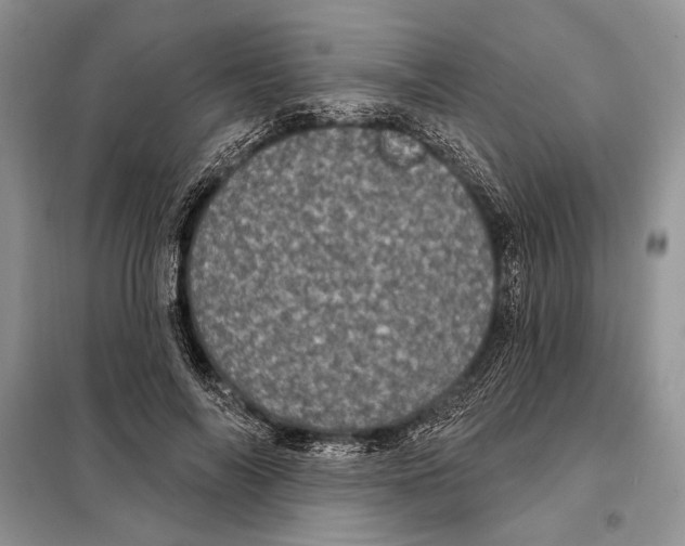 X0000098070694200805020958