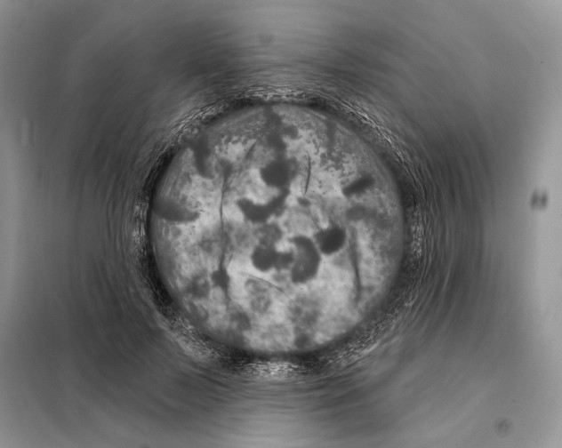 X0000098070695200805020958