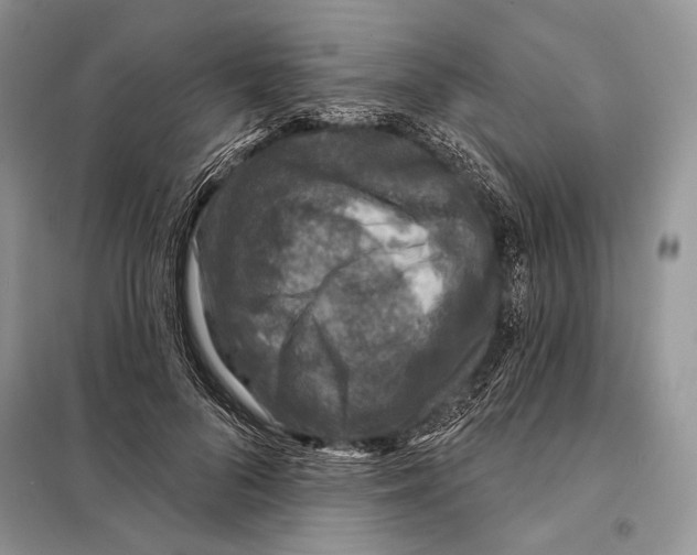 X0000098070696200805020958