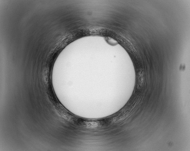 X0000098070698200805020958