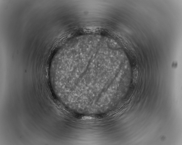 X0000098070699200805020958