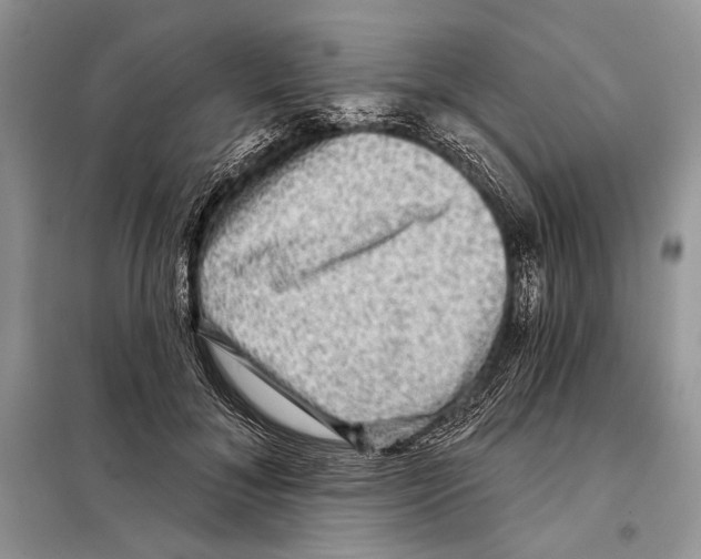 X0000098070700200805020958