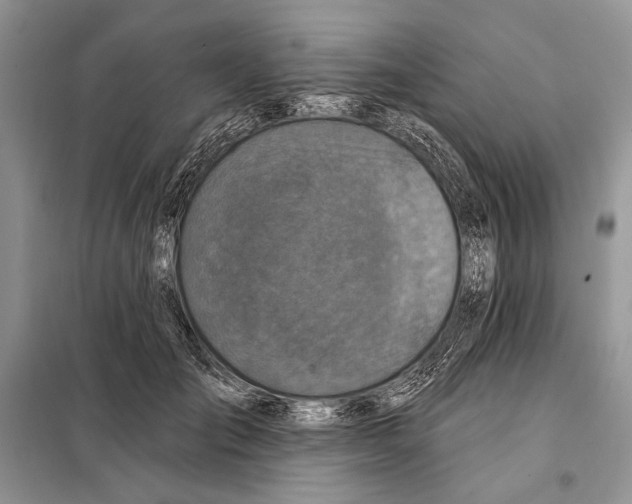 X0000098070701200805020958