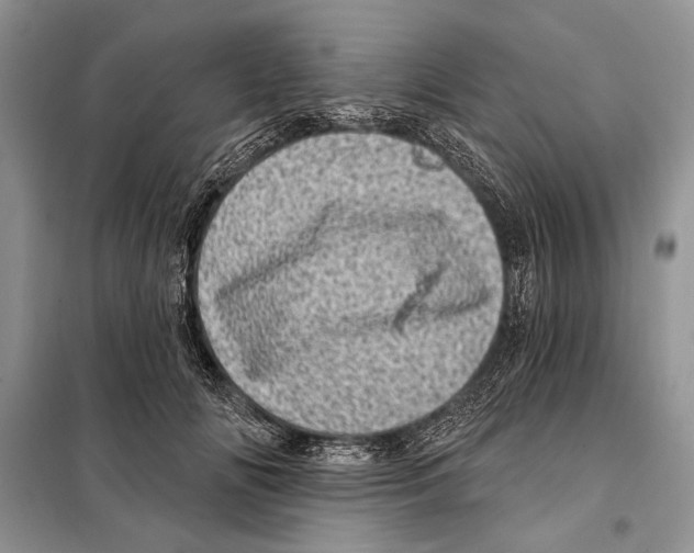 X0000098070702200805020958