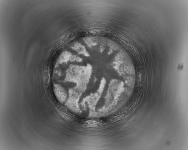 X0000098070703200805020958