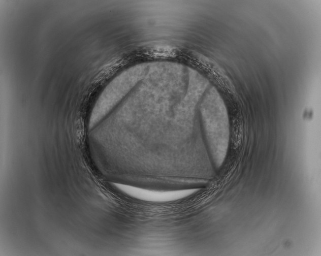 X0000098070704200805020958