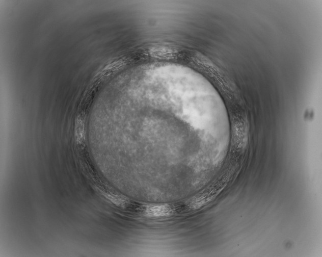 X0000098070705200805020958