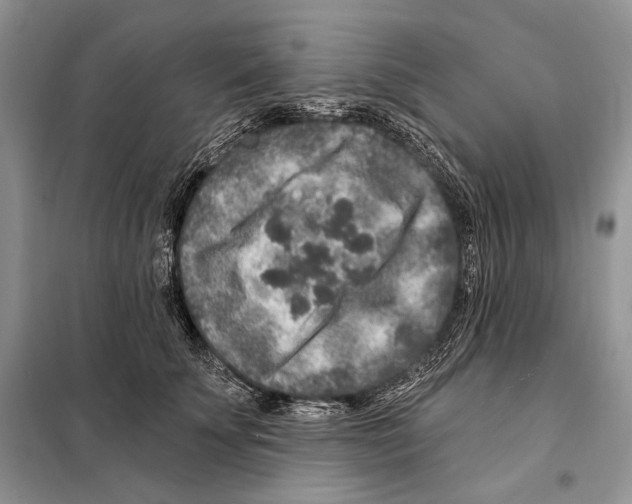 X0000098070707200805020958