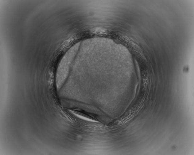 X0000098070708200805020958