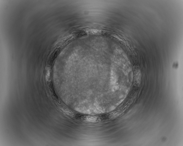 X0000098070709200805020958