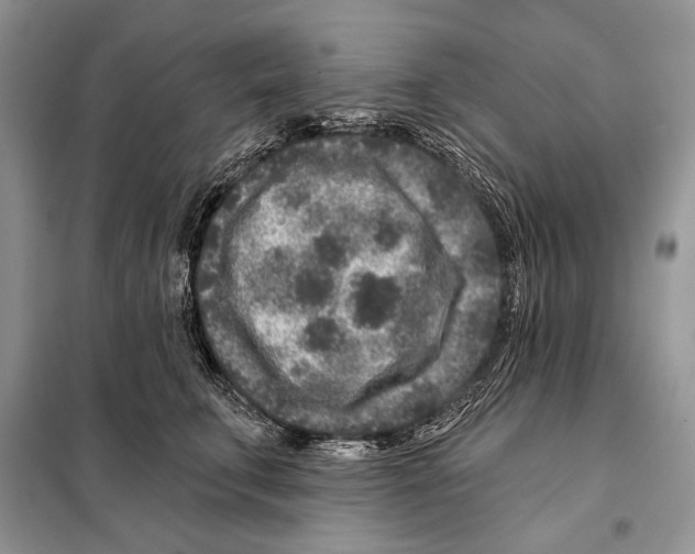 X0000098070711200805020958