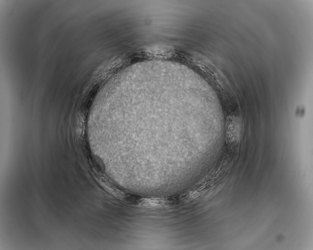 X0000098070713200805020958