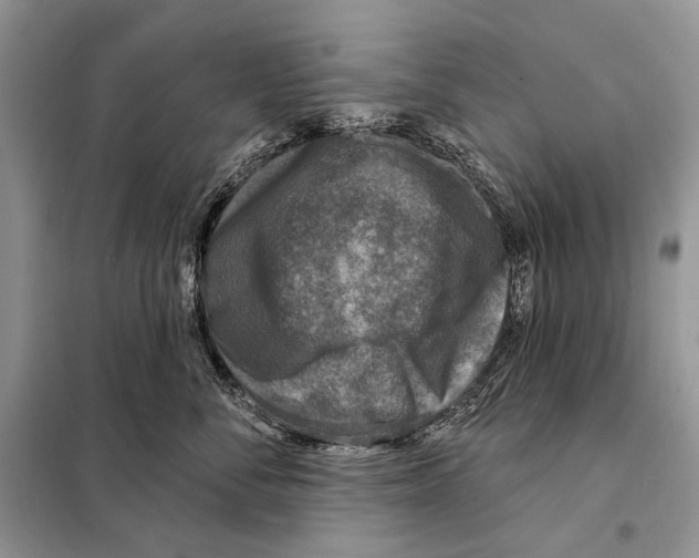 X0000098070716200805020958