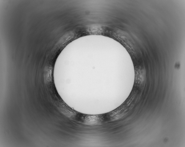 X0000098070717200805020958