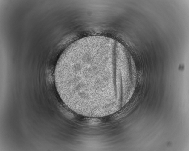 X0000098070719200805020958