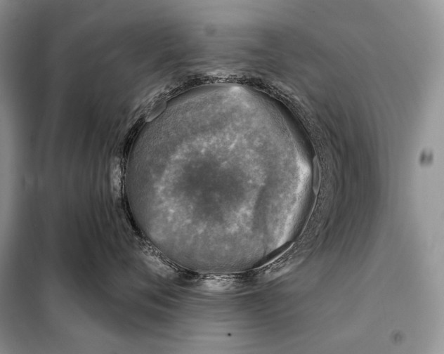 X0000098070720200805020958