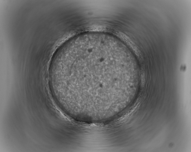 X0000098070721200805020957