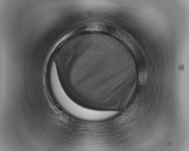 X0000098070724200805020957