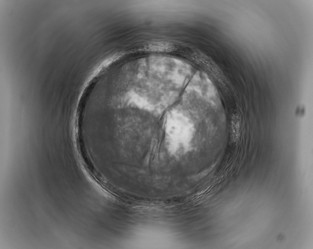 X0000098070726200805020957