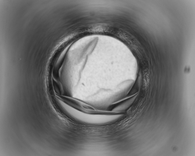 X0000098070728200805020957