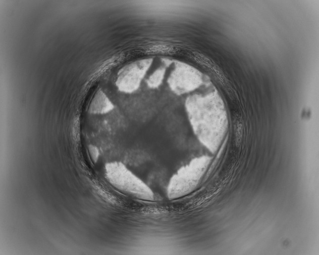 X0000098070729200805020957