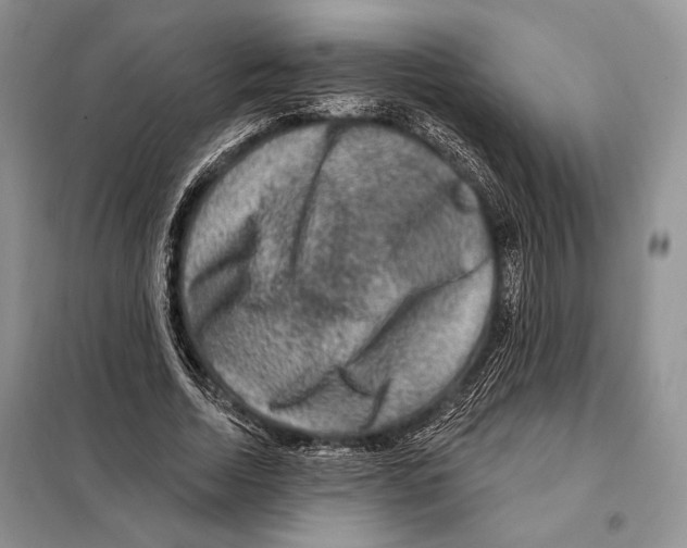 X0000098070730200805020957