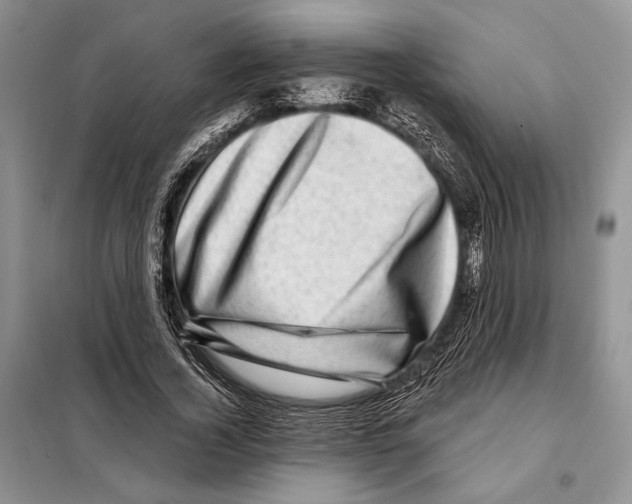 X0000098070732200805020957