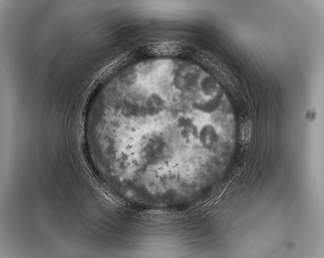 X0000098070733200805020957