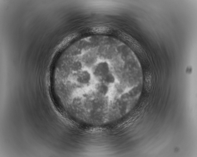 X0000098070734200805020957