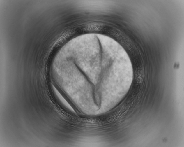 X0000098070735200805020957