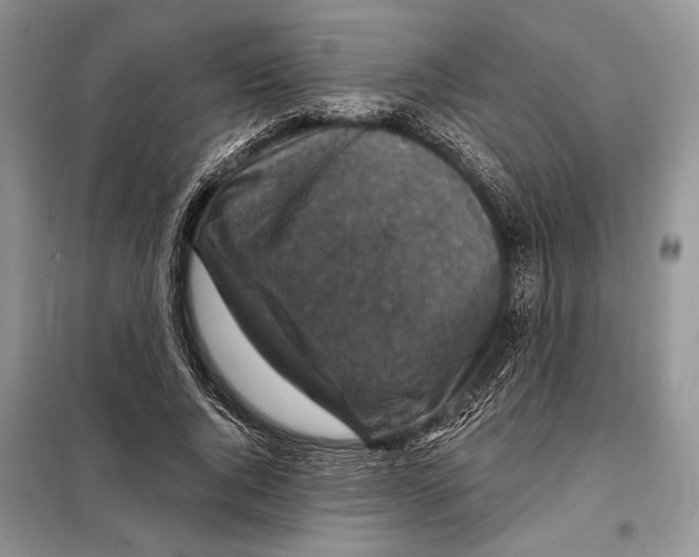 X0000098070736200805020957