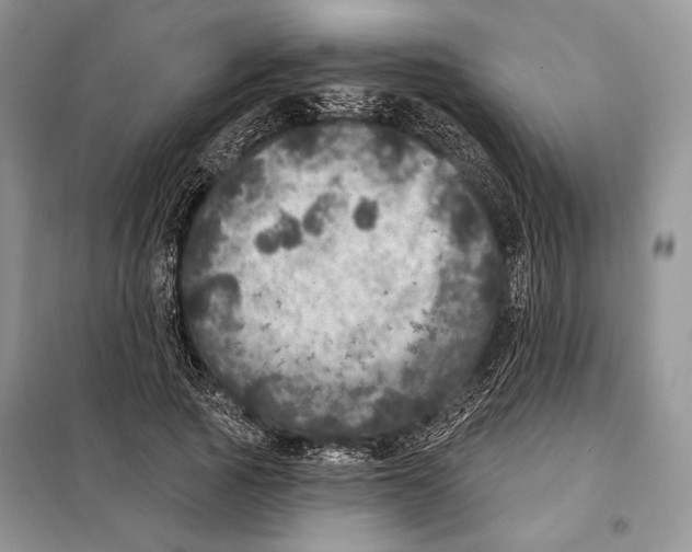 X0000098070737200805020957