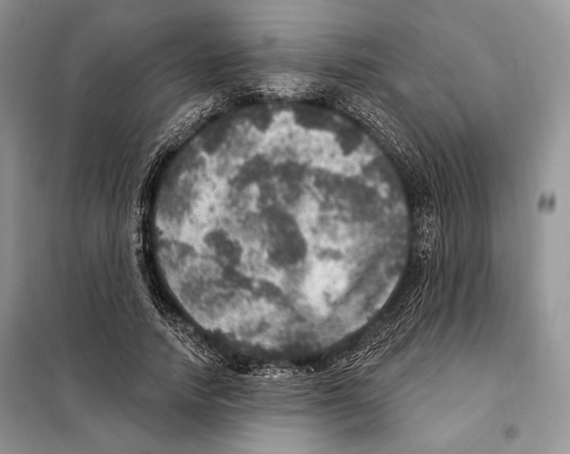 X0000098070738200805020957