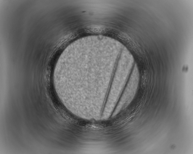 X0000098070739200805020957