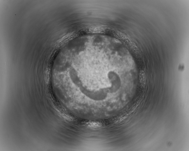 X0000098070741200805020957