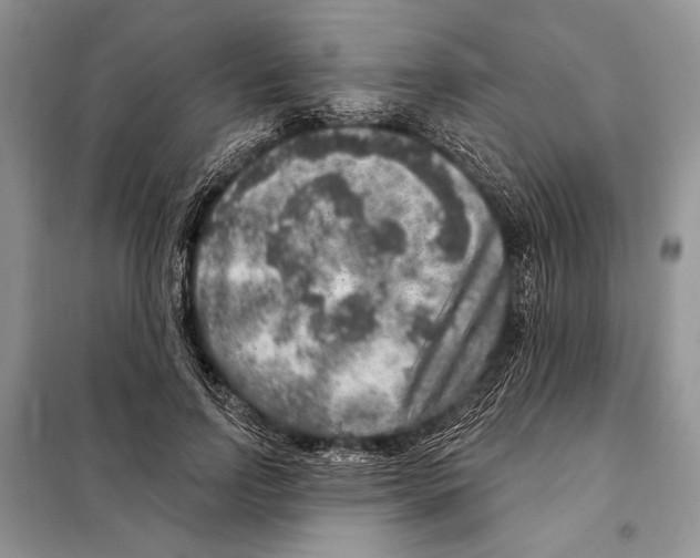 X0000098070742200805020957