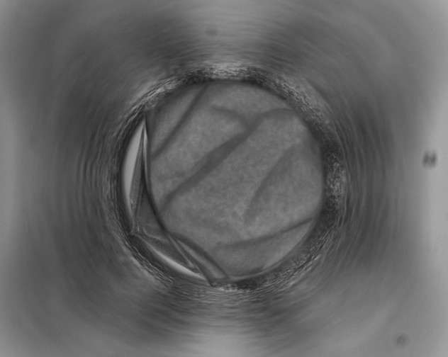 X0000098070744200805020957