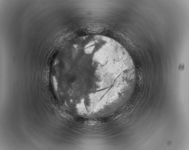 X0000098070745200805020957