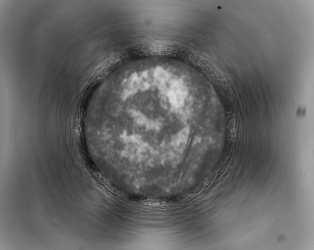 X0000098070746200805020957