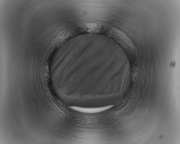 X0000098070748200805020957