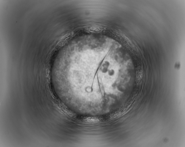 X0000098070749200805020957