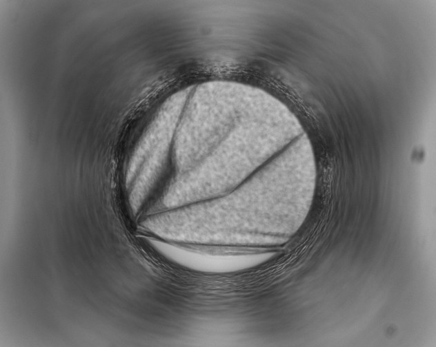 X0000098070750200805020957