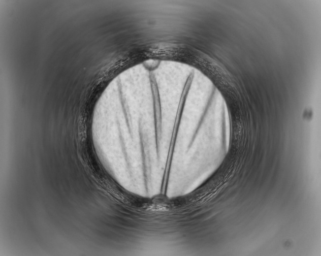 X0000098070751200805020957