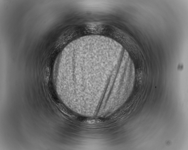 X0000098070752200805020958