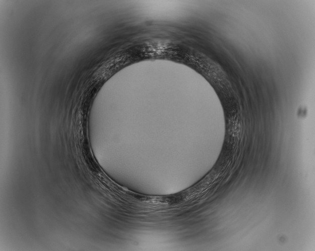 X0000098070754200805020958