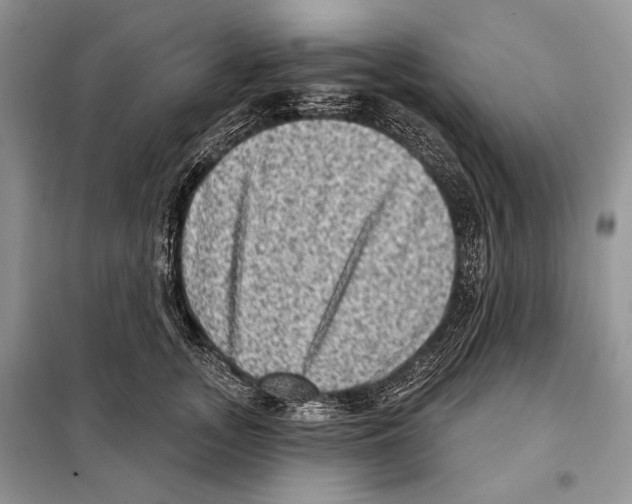 X0000098070755200805020958